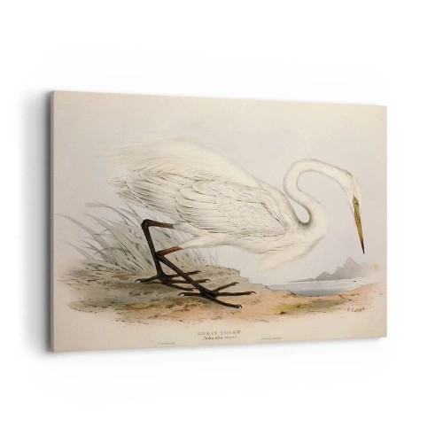 Obraz na plátně - Paní rákosin - 100x70 cm