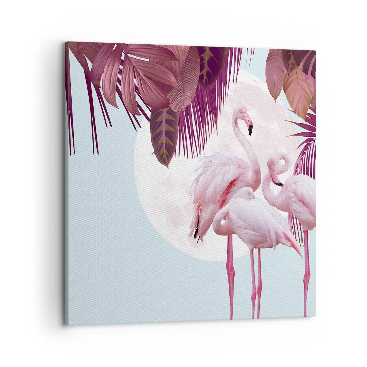 Obraz na plátně - Tři ptačí grácie - 50x50 cm