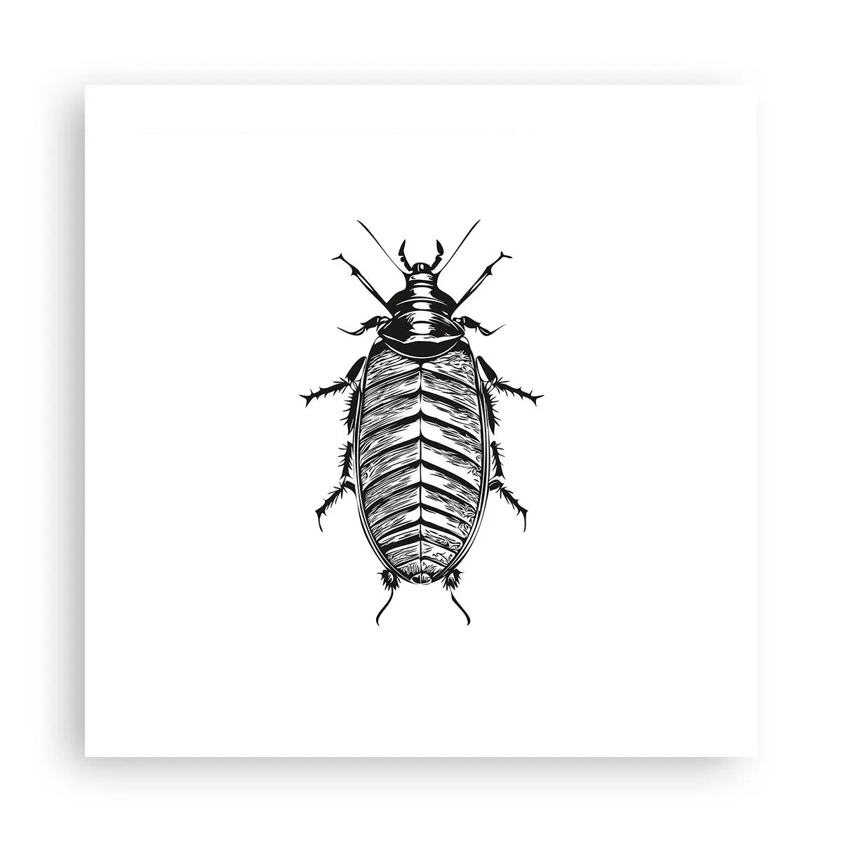 Plakát - Vzorový exemplář! - 50x50 cm