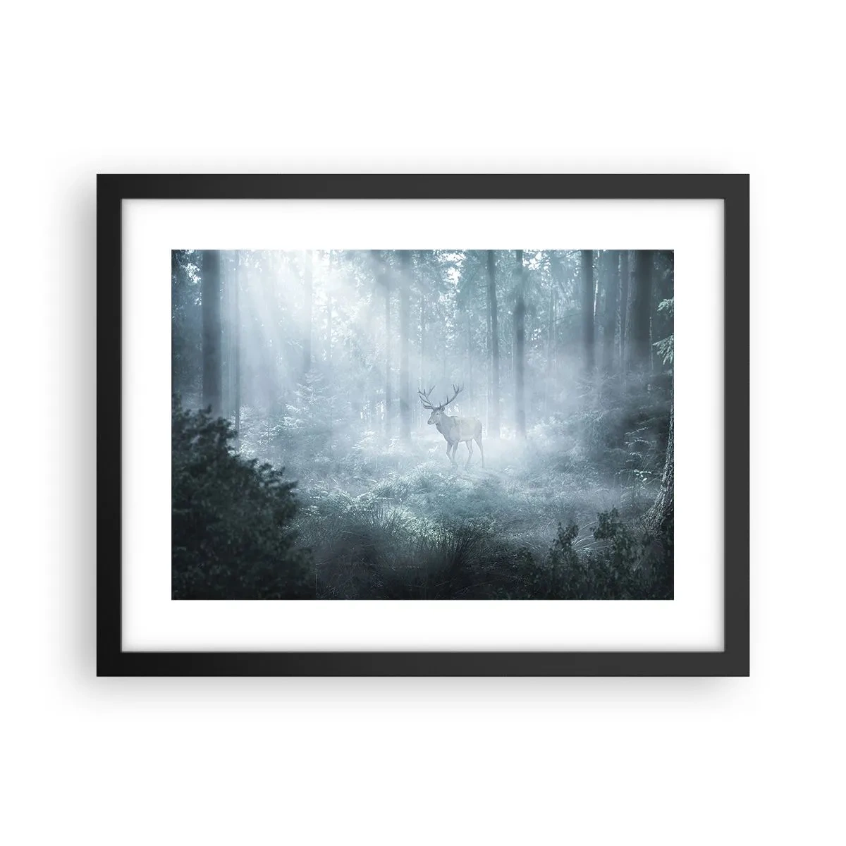 Plakát v černém rámu - Ranní obchůzka sídliště - 40x30 cm