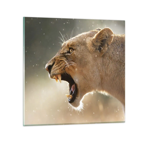 Obraz na skle - Snaž se neposlouchat - 60x60 cm