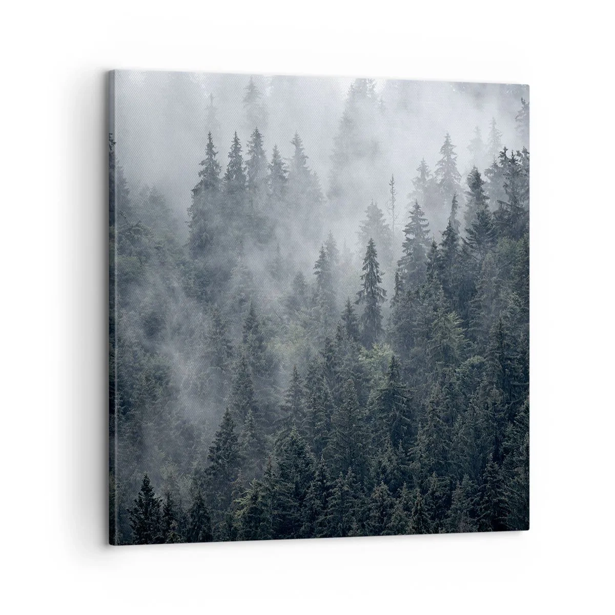 Obraz na plátně - Lesní svítání - 60x60 cm