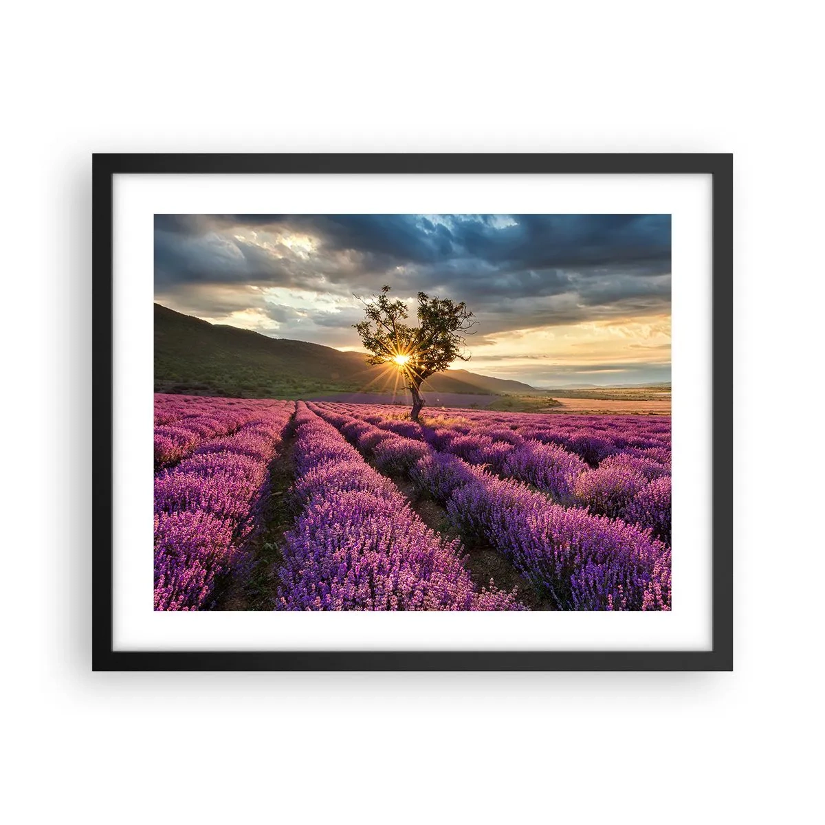 Plakát v černém rámu - Aroma v barvě lila - 50x40 cm