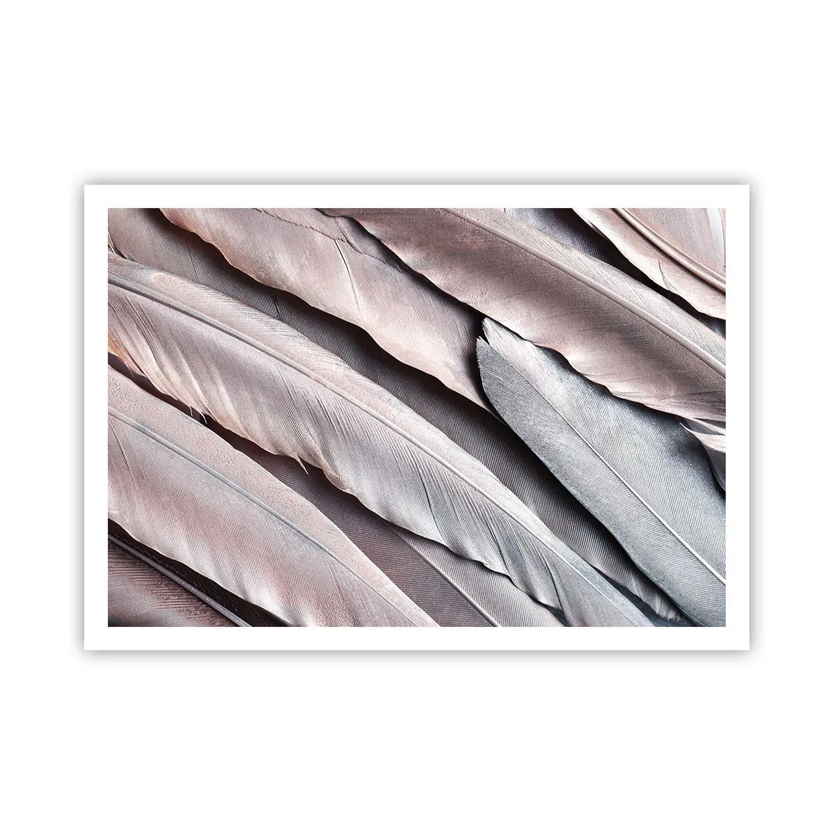 Plakát - V růžové a stříbrné - 100x70 cm