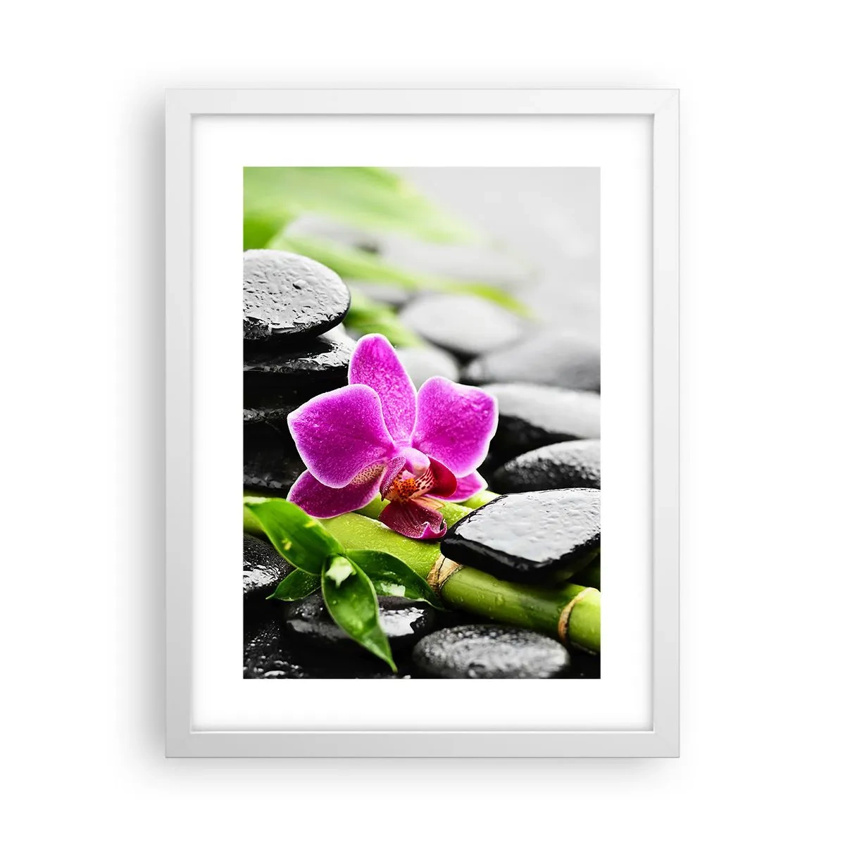 Plakát v bílém rámu - V klidné rovnováze - 30x40 cm