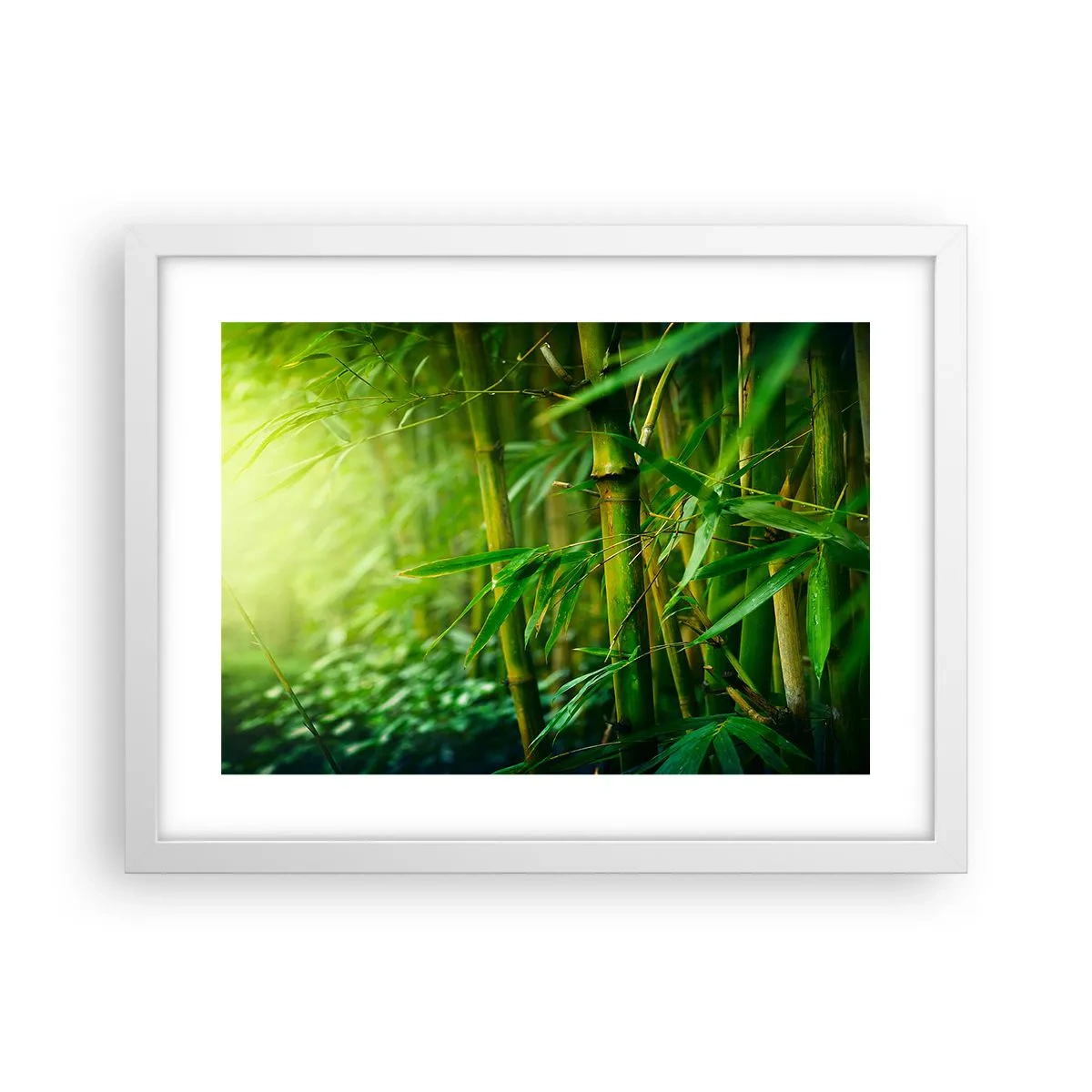 Plakát v bílém rámu - Poznat samotnou zeleň - 40x30 cm