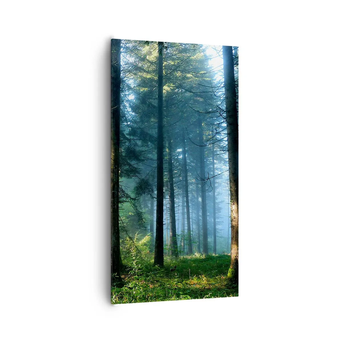 Obraz na plátně - Zářící za úsvitu - 65x120 cm