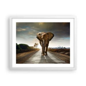 Plakát v bílém rámu - A vůbec ne ve skladu porcelánu - 50x40 cm