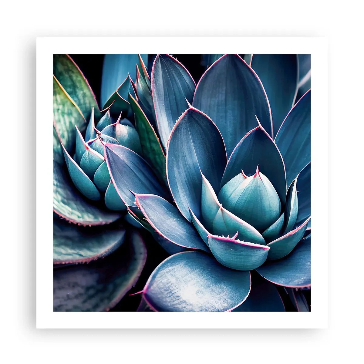 Plakát - Vitální síla - 60x60 cm