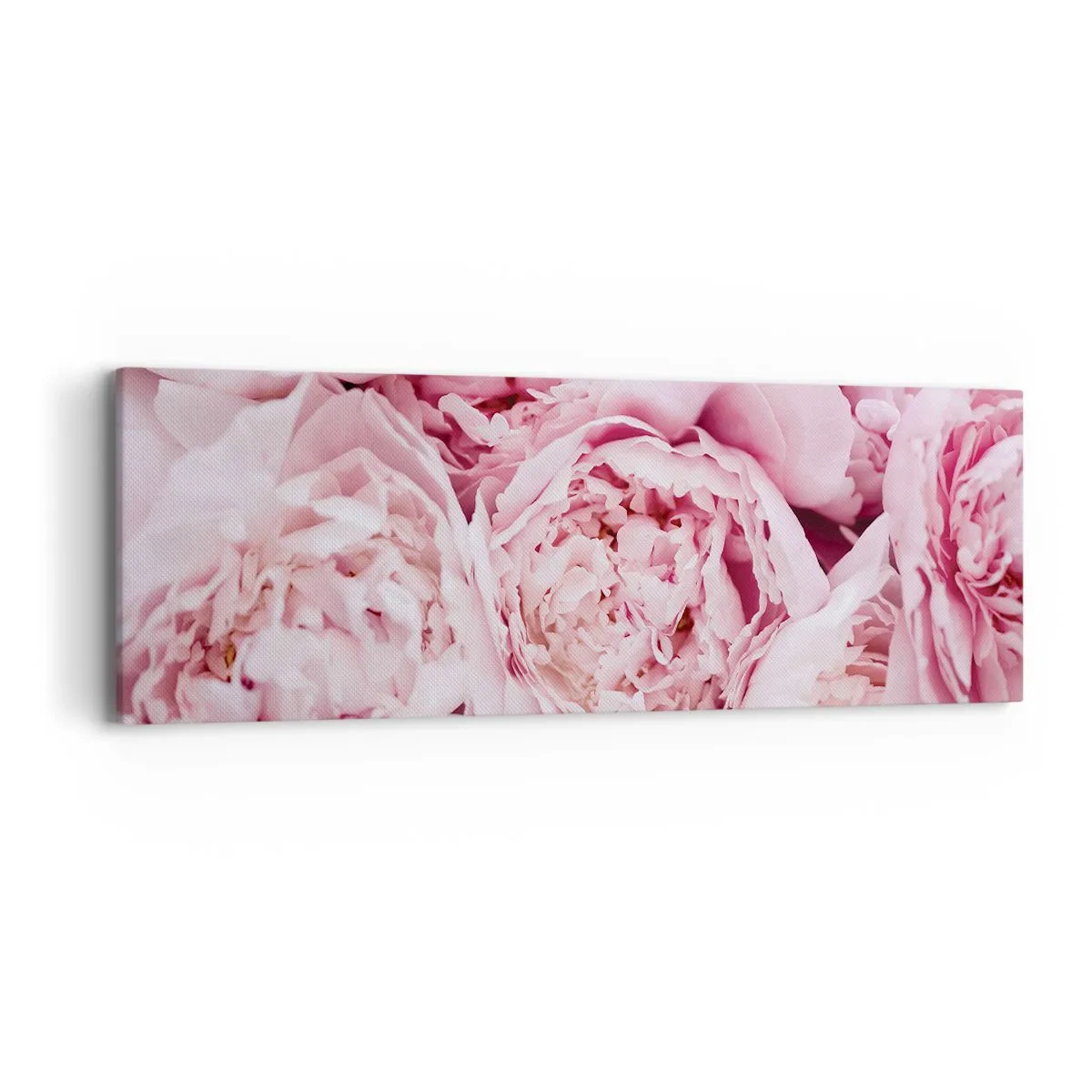 Obraz na plátně - Přitulené a voňavé - 90x30 cm