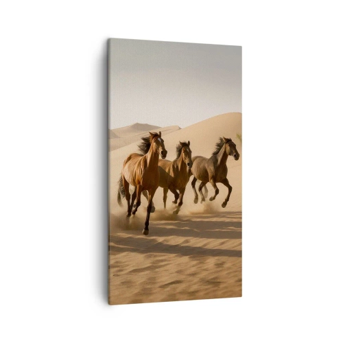 Obraz na plátně - Volné jako vítr - 45x80 cm