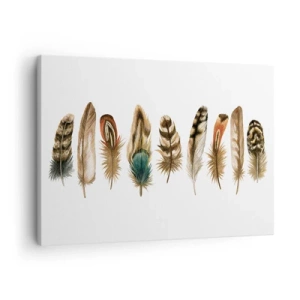 Obraz na plátně - Dekorativní motiv sbírky různých peří - 70x50cm - Opeřená variace - Moderní nástěnná dekorace do obývacího pokoje a ložnice ARTTOR