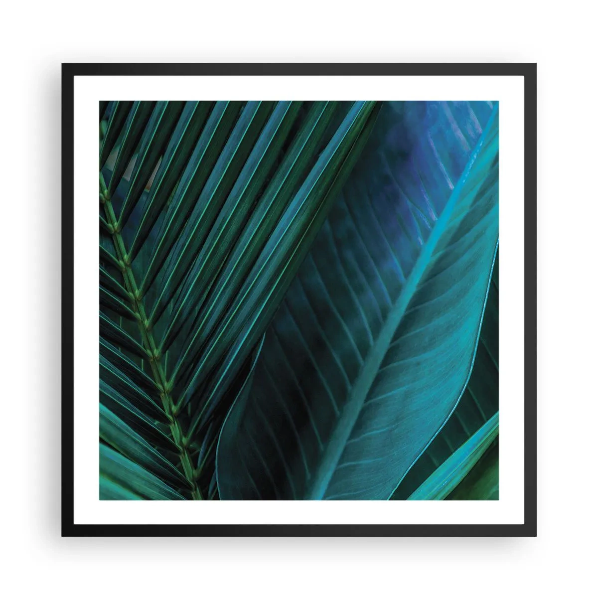 Plakát v černém rámu - Anatomie zelené - 60x60 cm