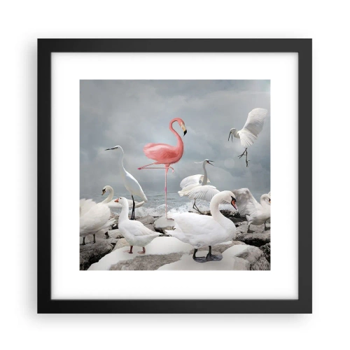 Plakát v černém rámu - Kde jsem se tu vzal? - 30x30 cm