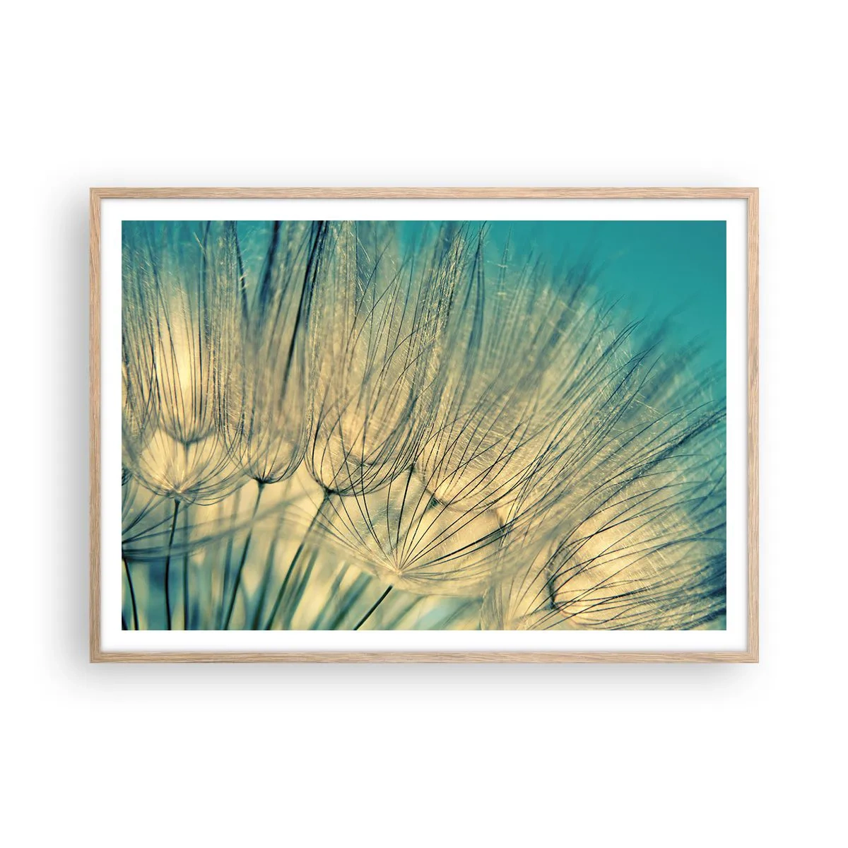 Plakát v rámu světlý dub - Čekání na vítr - 100x70 cm