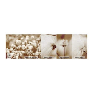 Vzor Fototapety Premium Canvas - Chlupatý lán - Bavlněný květ, Květ, Bavlněná větvička - 100x30 cm