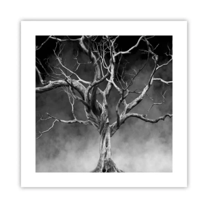 Plakát - Původní a svaté - 40x40 cm