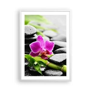 Plakát v bílém rámu - V klidné rovnováze - 50x70 cm