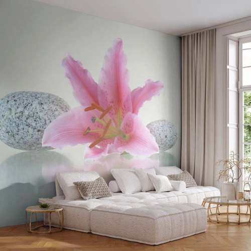 Fototapeta Premium Sand - Studie v růžové, šedé a bílé - Květiny, Lilie, Kameny - 400x280 cm