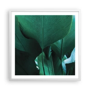 Plakát v bílém rámu - Obrácené ke světlu - 60x60 cm