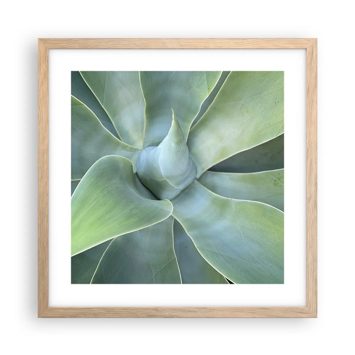 Plakát v rámu světlý dub - Zrození zeleně - 40x40 cm