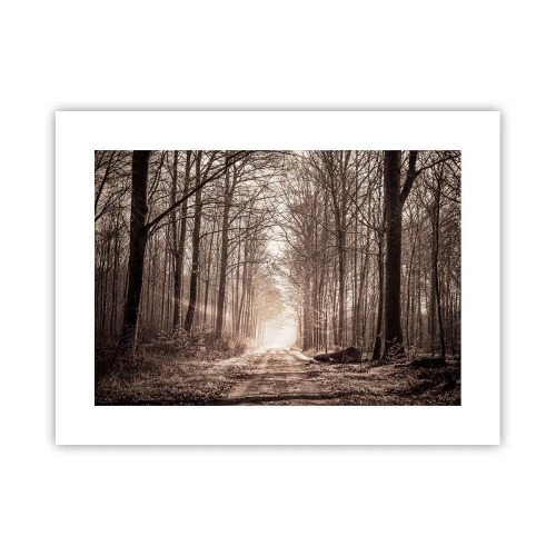 Plakát - Lesní katedrála - 40x30 cm