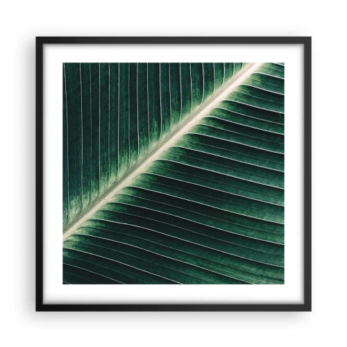 Plakát v černém rámu - Rytmus přírody - 50x50 cm