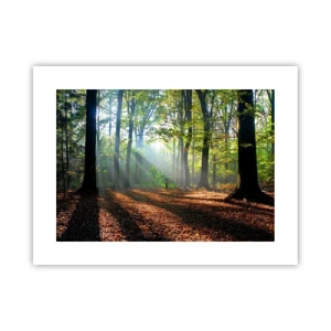 Plakát - Světla a stíny - 40x30 cm