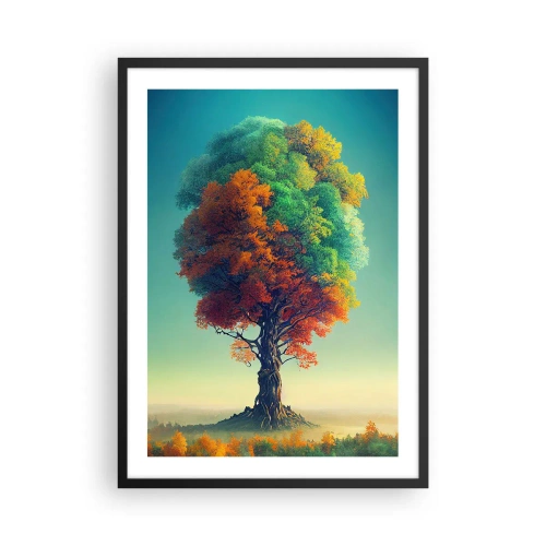 Plakát v černém rámu - Strom v barvách čtyř ročních období - 50x70cm - Dub – otec přírody - Moderní nástěnná dekorace do obývacího pokoje a ložnice ARTTOR