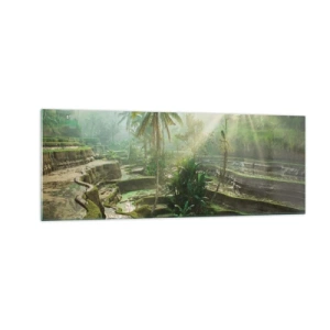 Obraz na skle - Vyrůstát na slunci - 140x50 cm