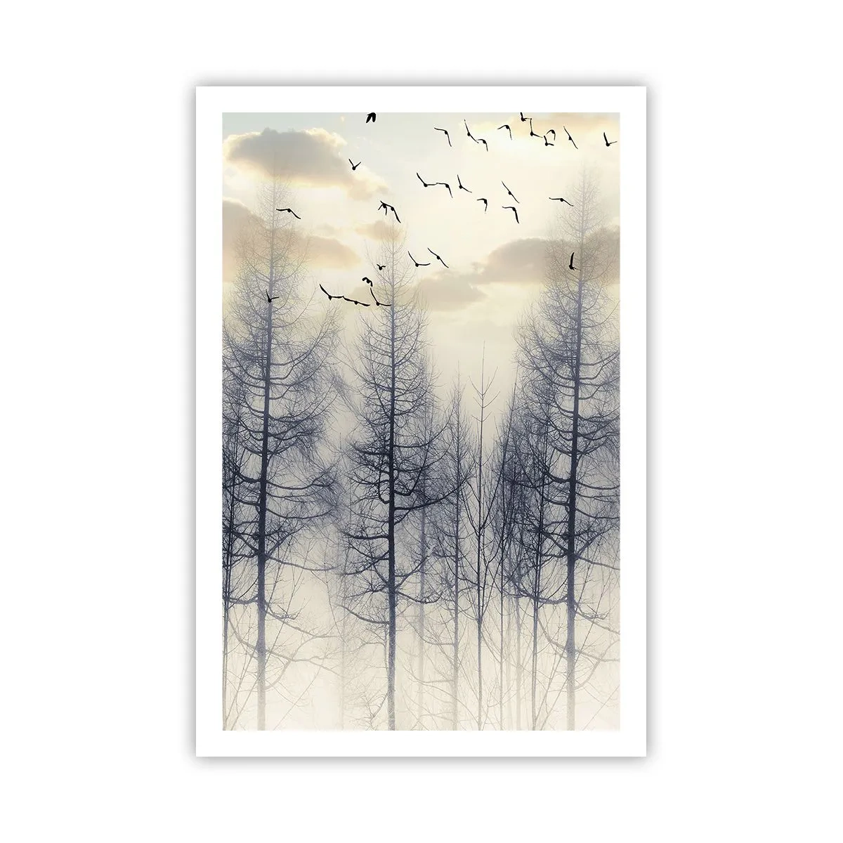 Plakát - Duchové lesa - 61x91 cm