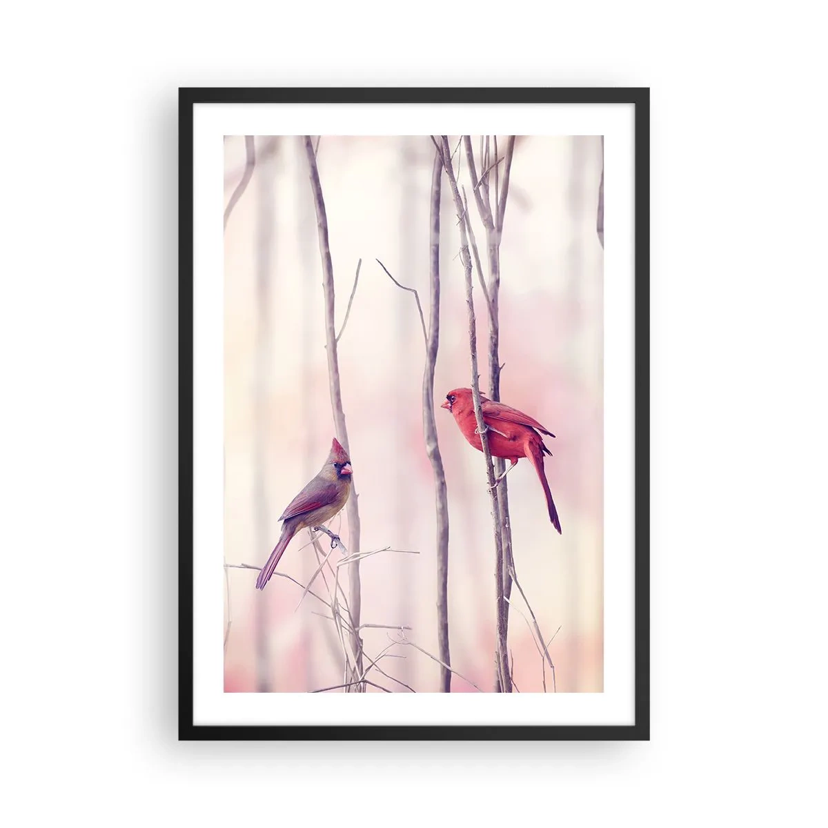 Plakát v černém rámu - Dvojice kardinálů na pozadí jemných větví - 50x70cm - Příběh růžového lesa - Moderní nástěnná dekorace do obývacího pokoje a ložnice ARTTOR