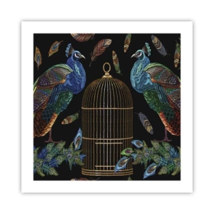 Plakát - V královském rouchu - 50x50 cm