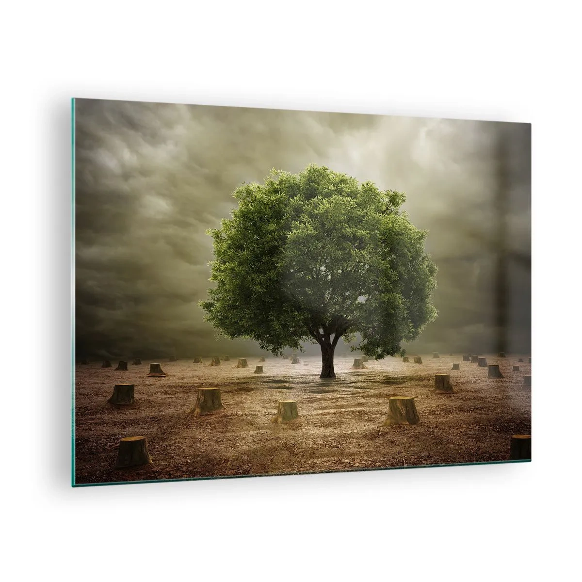 Obraz na skle - Zelený strom obklopený kmeny proti pochmurné obloze - 70x50cm - Celá naděje - Moderní nástěnná dekorace do obývacího pokoje a ložnice ARTTOR