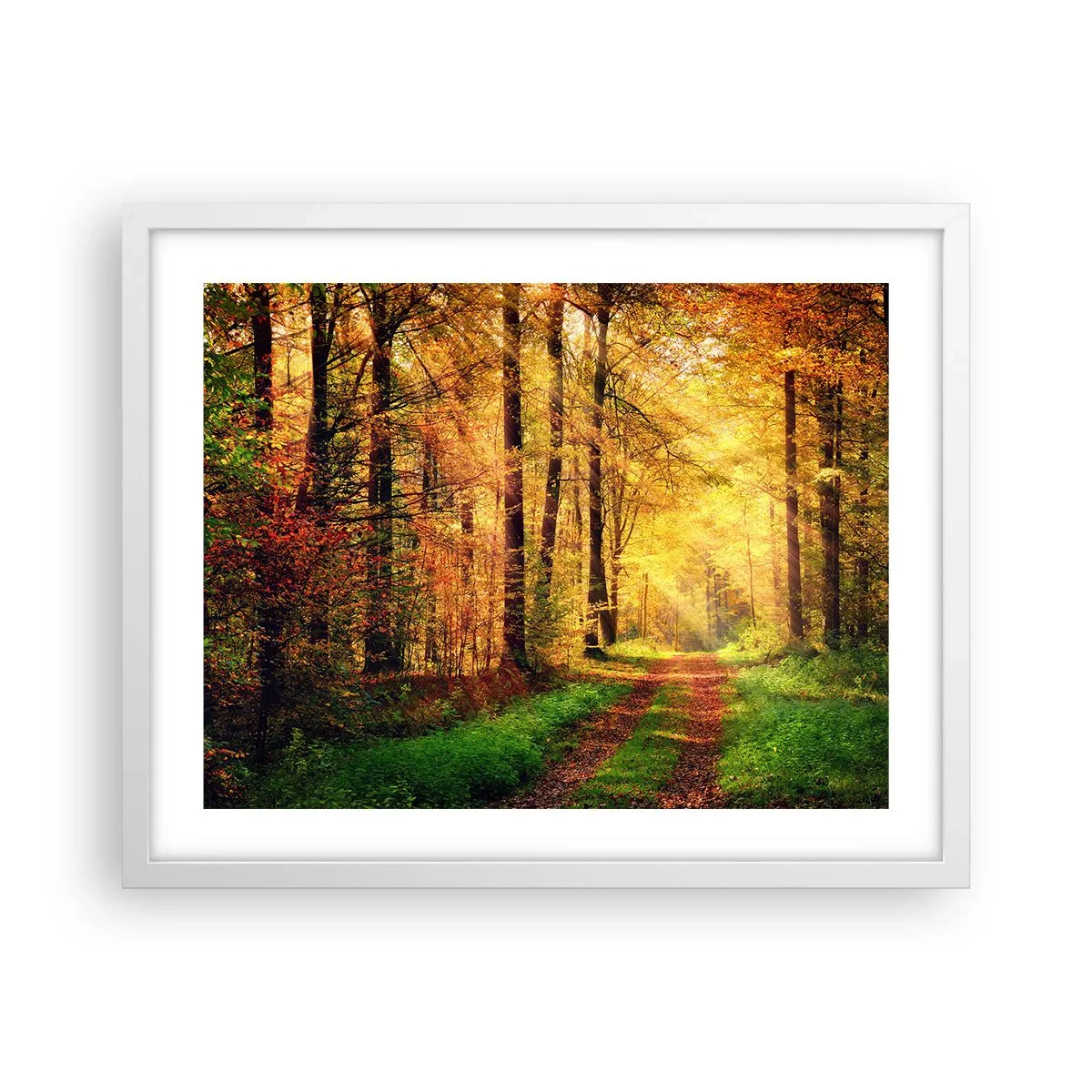 Plakát v bílém rámu - Lesně-zlaté ticho - 50x40 cm