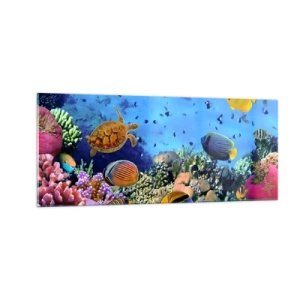 Obraz na skle - Co víme o životě… - 100x40 cm