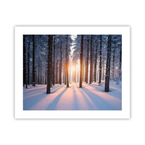 Plakát - Jasně černé na bílém - 50x40 cm