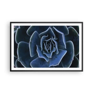 Plakát v černém rámu - Pouštní květ - 91x61 cm