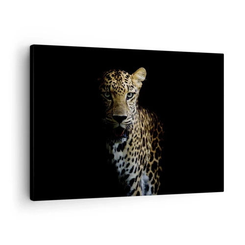 Obraz na plátně - Leopard na tmavém pozadí s intenzivním pohledem - 70x50cm - Temná krása - Moderní nástěnná dekorace do obývacího pokoje a ložnice ARTTOR