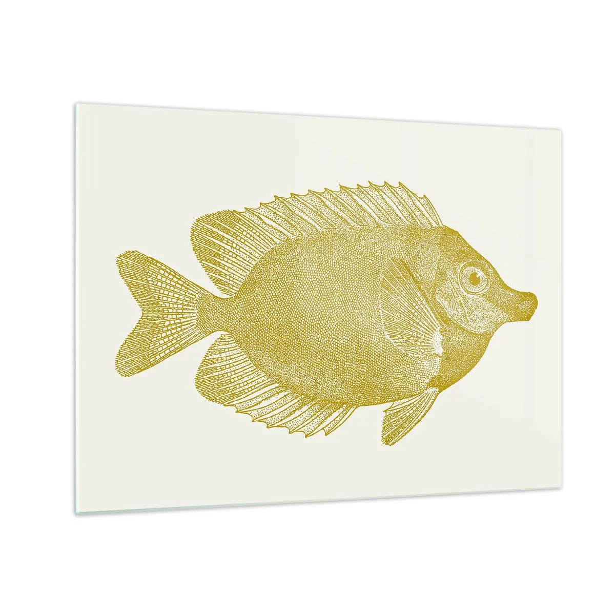 Obraz na skle - Vintage zlaté rybky na světlém pozadí - 70x50cm - Prostě ryba - Moderní nástěnná dekorace do obývacího pokoje a ložnice ARTTOR