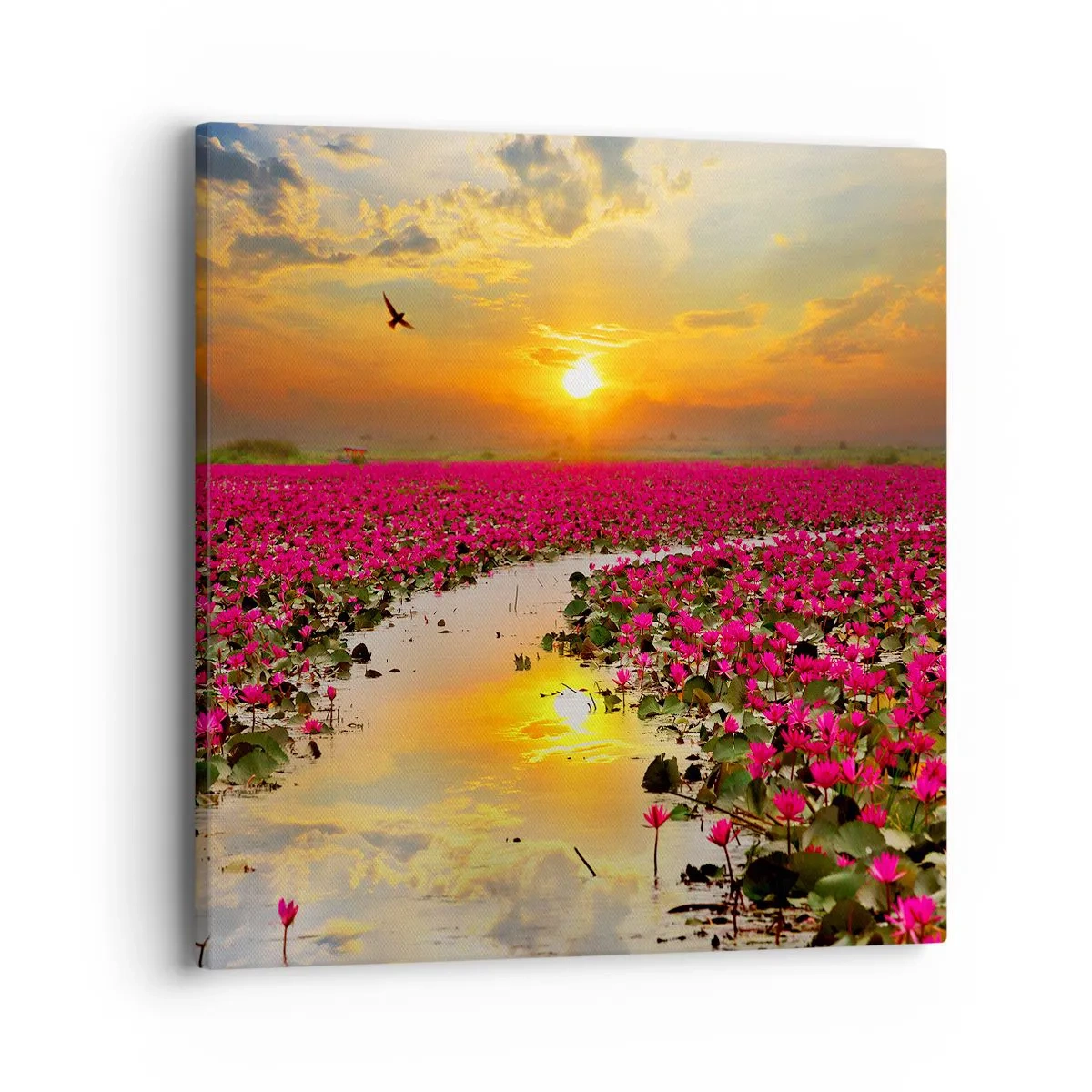 Obraz na plátně - Tajemný život jezera - 40x40 cm