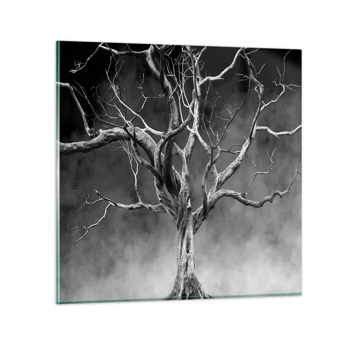 Obraz na skle - Původní a svaté - 50x50 cm