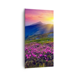 Obraz na plátně - …A kolem voní kosodřevina a voní byliny - 65x120 cm