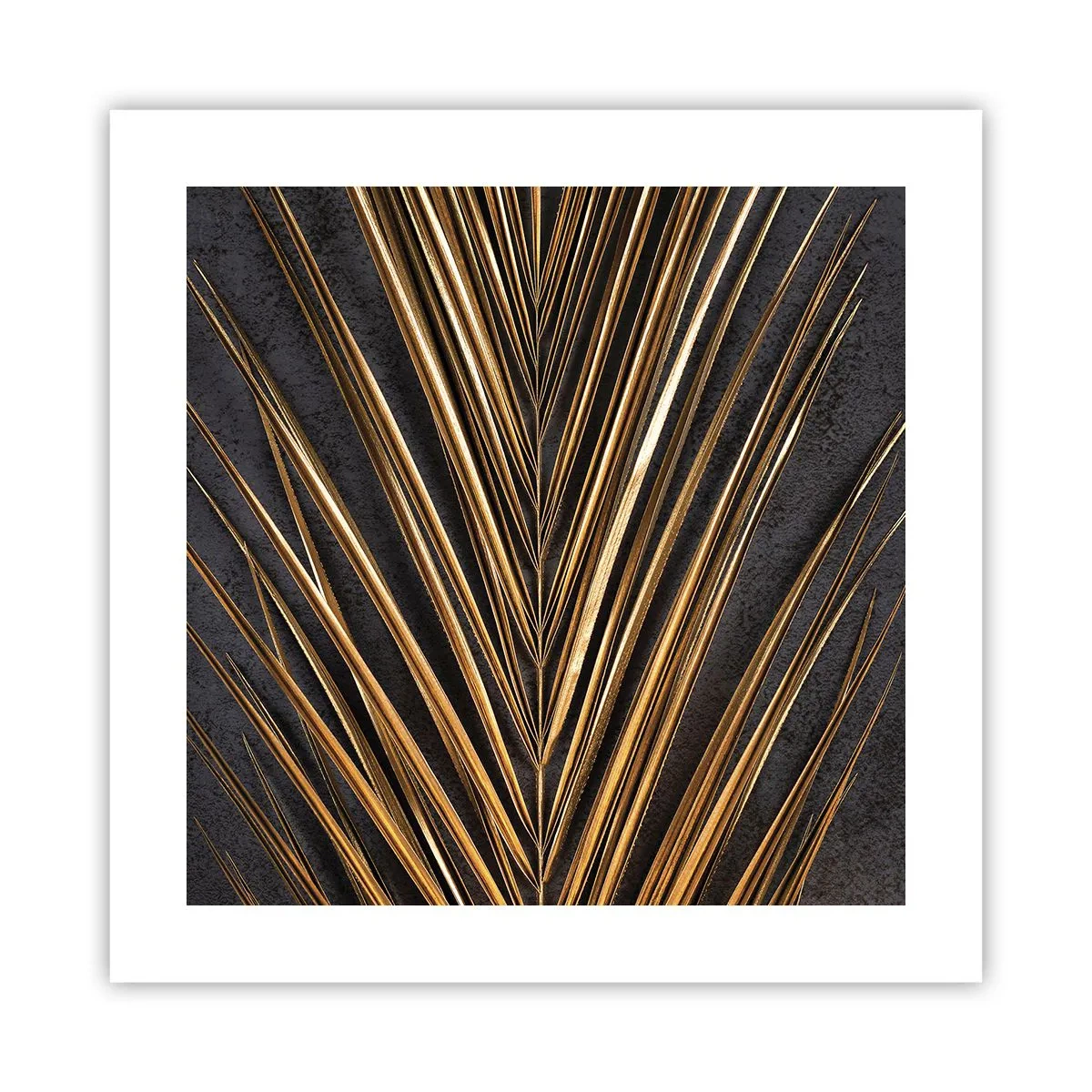 Plakát - Zlato tropů - 40x40 cm