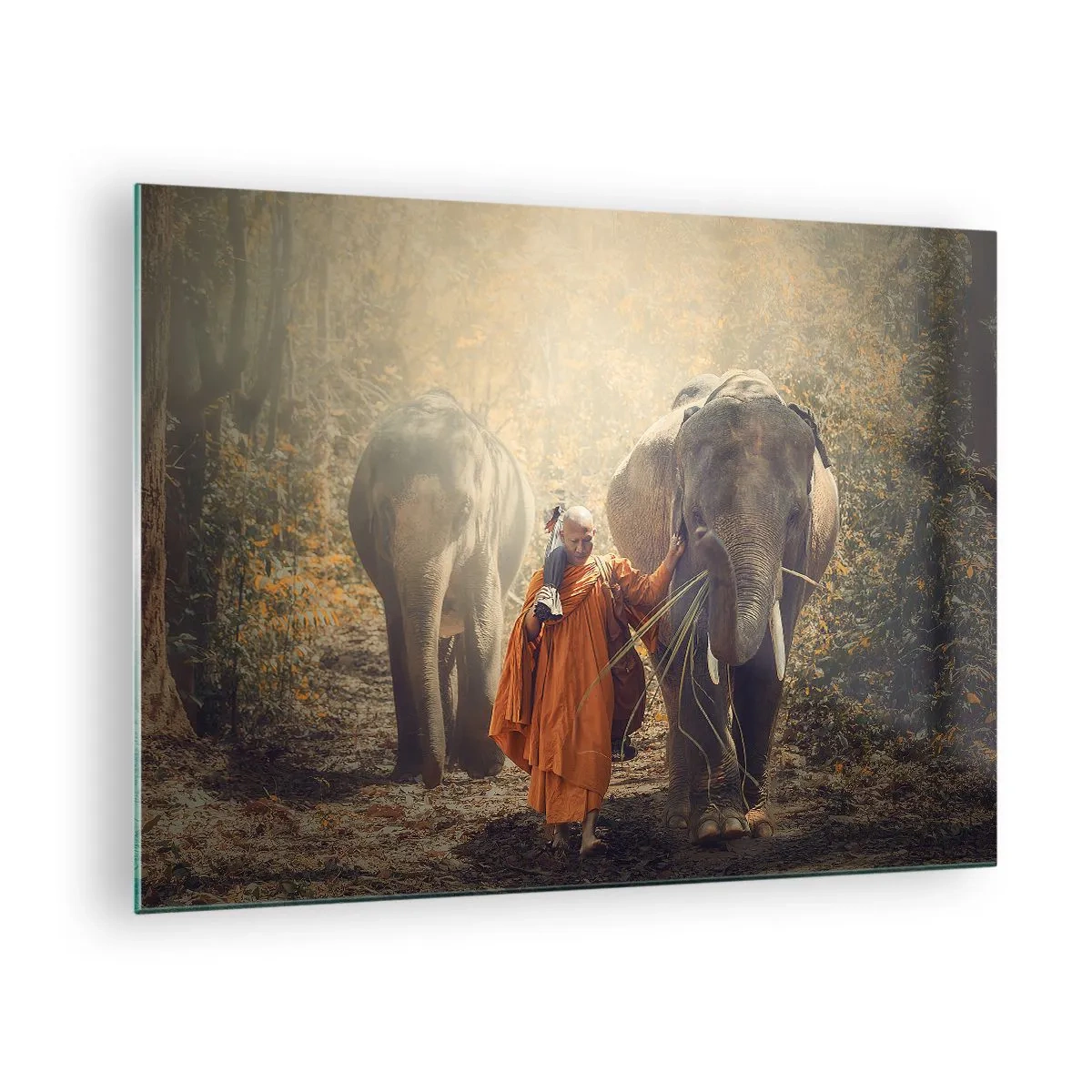 Obraz na skle - Mnich se dvěma slony v lesním prostředí - 70x50cm - Plné pochopení - Moderní nástěnná dekorace do obývacího pokoje a ložnice ARTTOR