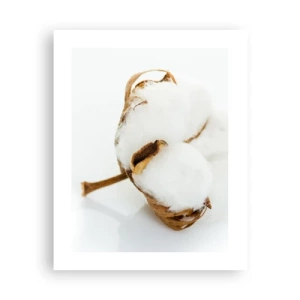 Plakát - Měkká od přírody - 40x50 cm