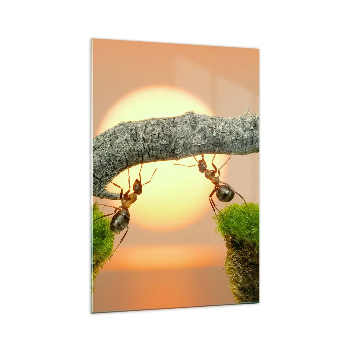 Obraz na skle - Radostná, společná práce - 70x100 cm