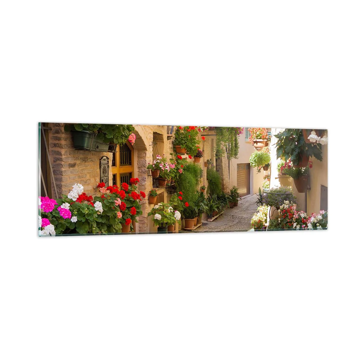 Obraz na skle - V záplavě květin - 90x30 cm