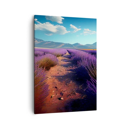Obraz na plátně - Voňavá pole - 50x70 cm