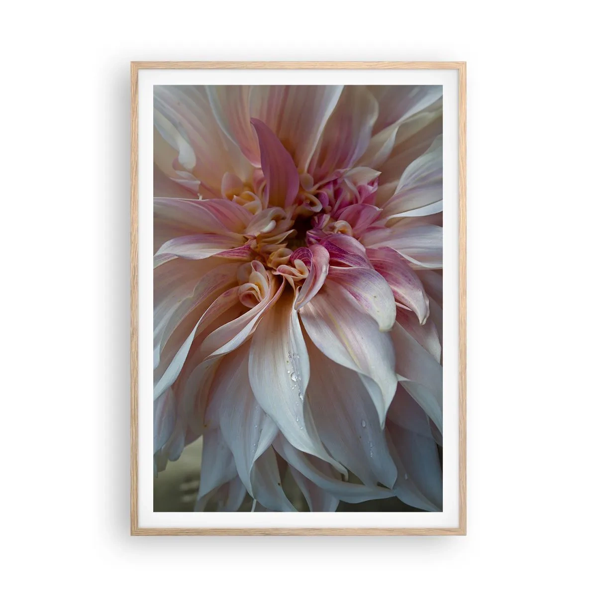 Plakát v rámu světlý dub - Kvetoucí svěžest - 70x100 cm
